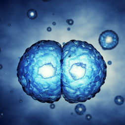 Biology - Cell Division course image