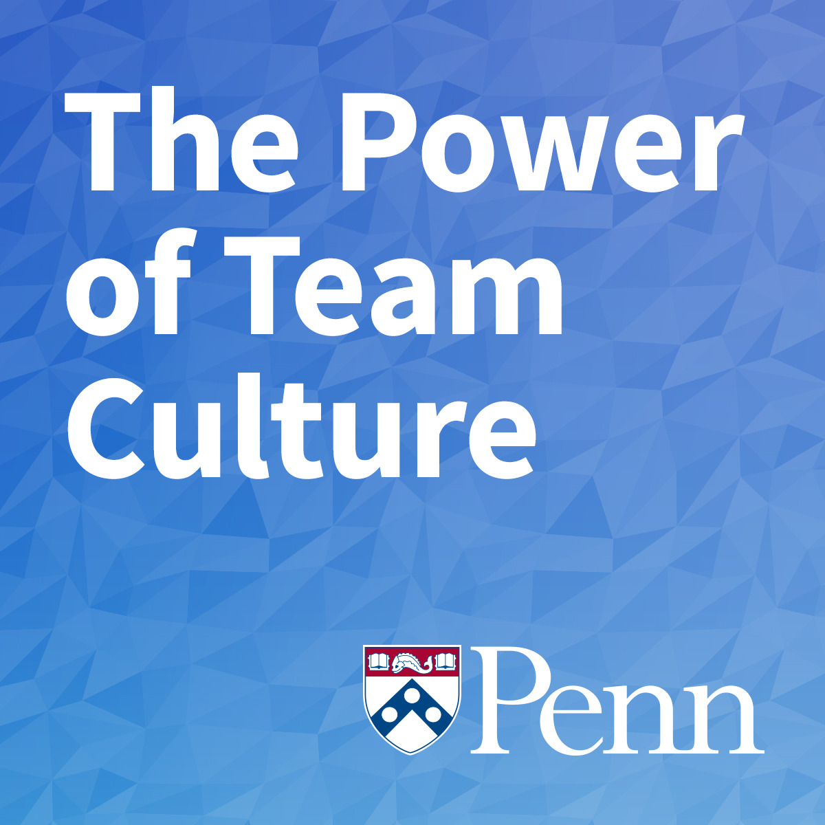The Power of Team Culture course image