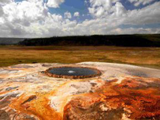 Modeling Environmental Complexity course image