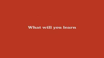 Become a SalesForce consultant
