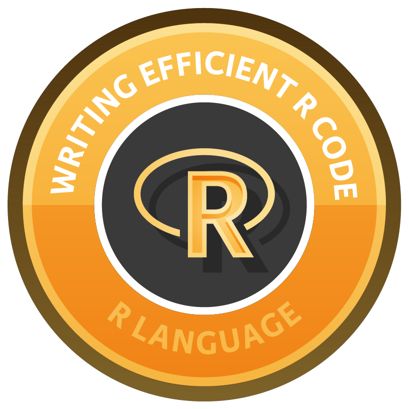 Writing Efficient R Code course image