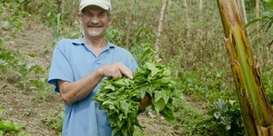 Entendiendo el Impacto Social: la forma en que Acumen mide y analiza el impacto social course image