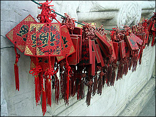 Chinese I (Regular) course image