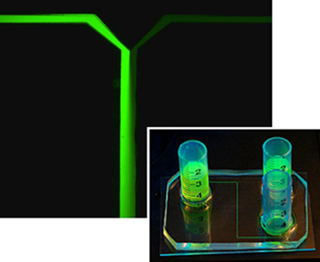 Quantitative Physiology: Cells and Tissues course image