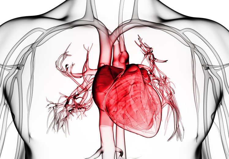 Vital Signs: Understanding What the Body Is Telling Us course image