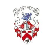 David Willson profile image