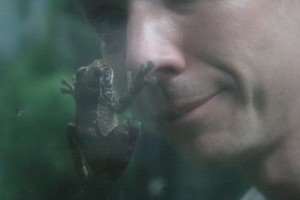 Mike Taylor profile image