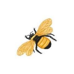 LinBee profile image
