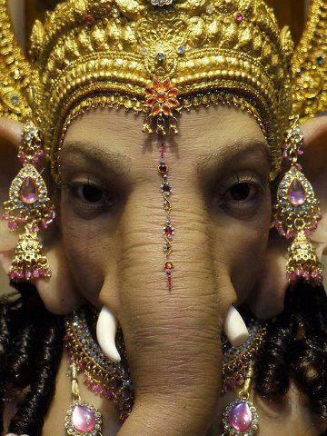 RAJAVARTHINITHURUPATHKUMARIKAE profile image