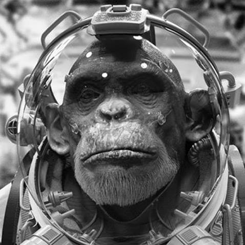 JL Meana profile image