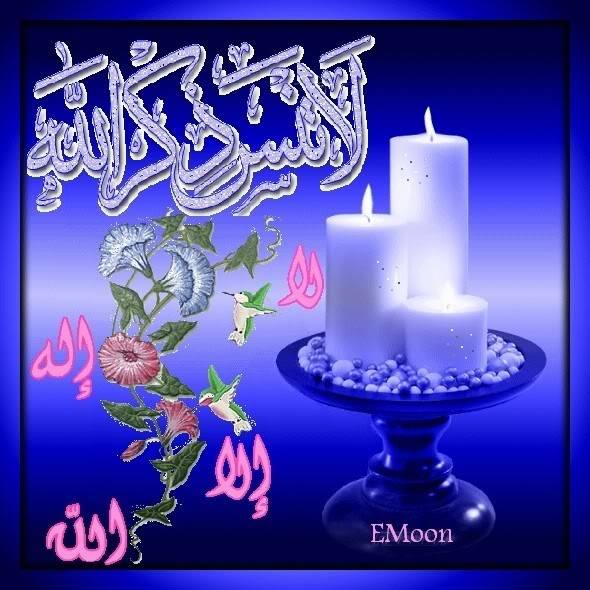 زهور الربيع profile image
