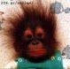 Ian Schofield profile image