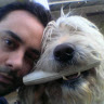 Darren Hay profile image